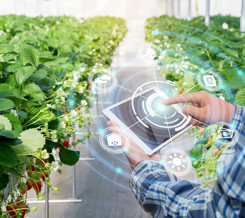 Intelligent Farmland Irrigation